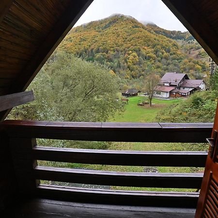 Casa De Vacanta Satic Piatra Craiului La Doi Viermi Exterior foto
