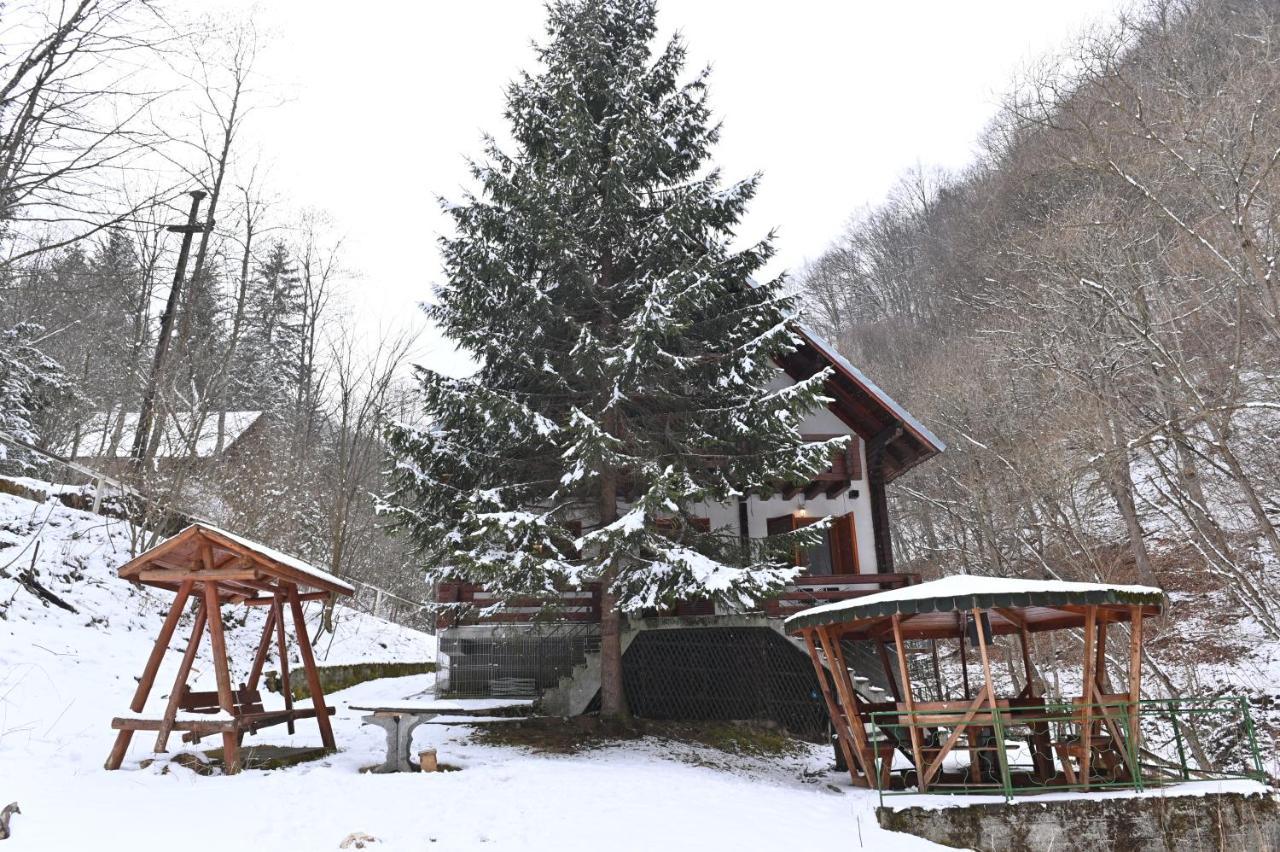 Casa De Vacanta Satic Piatra Craiului La Doi Viermi Exterior foto