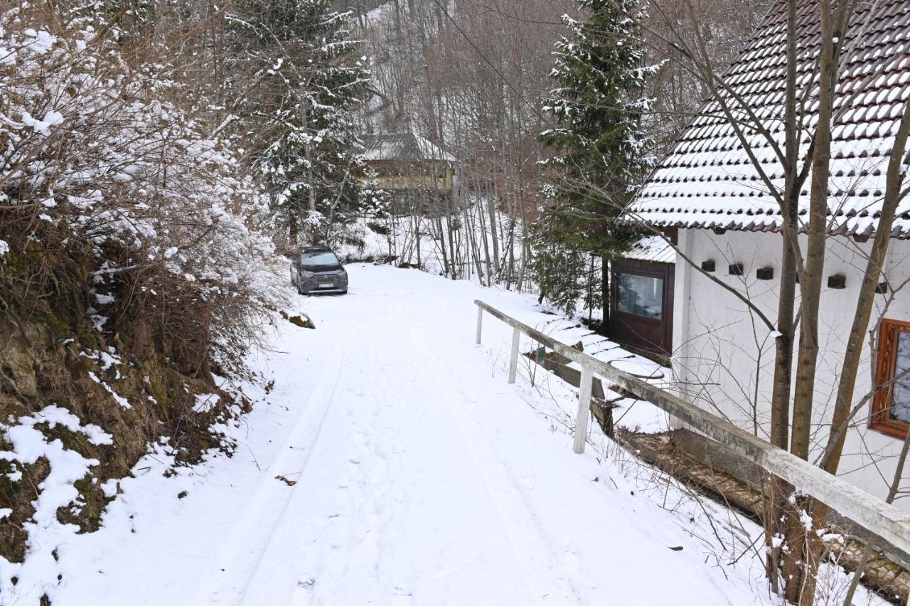 Casa De Vacanta Satic Piatra Craiului La Doi Viermi Exterior foto