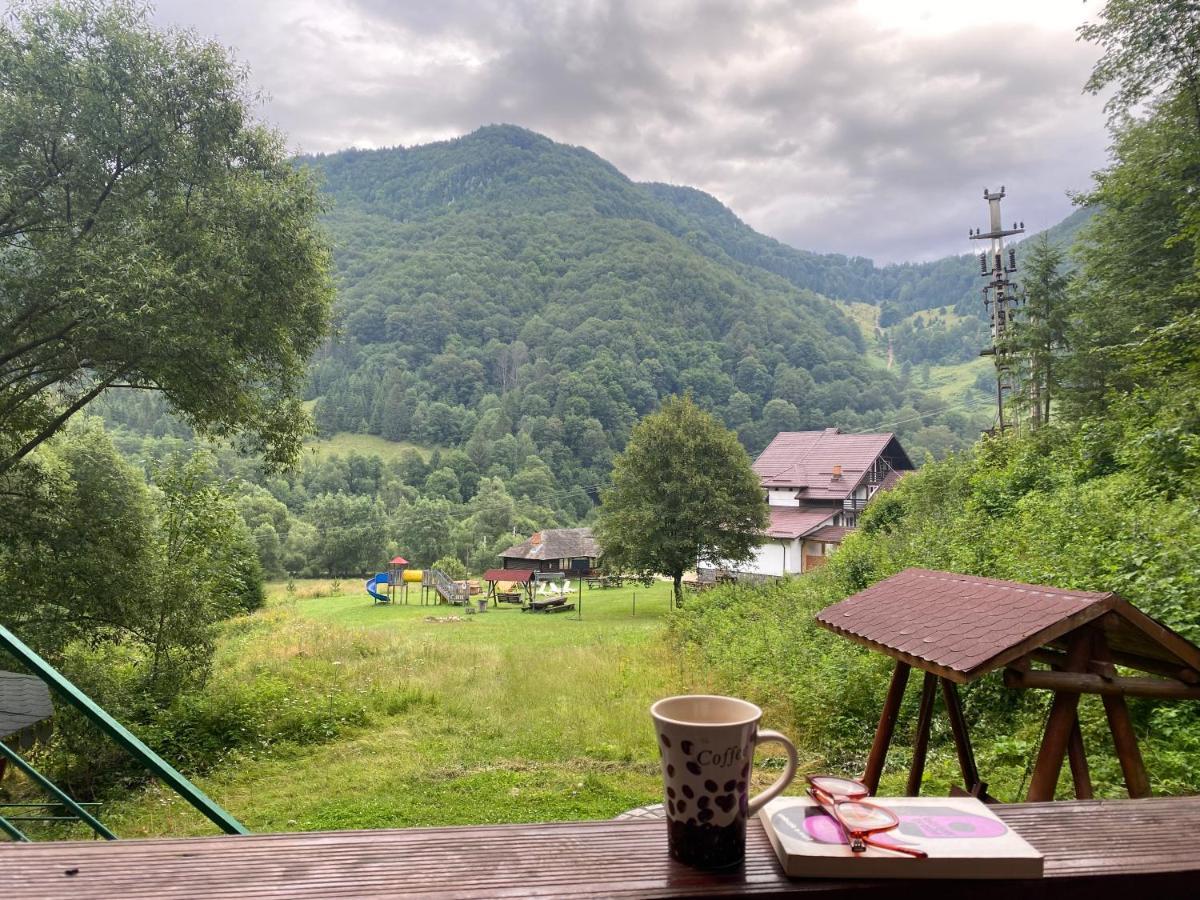Casa De Vacanta Satic Piatra Craiului La Doi Viermi Exterior foto